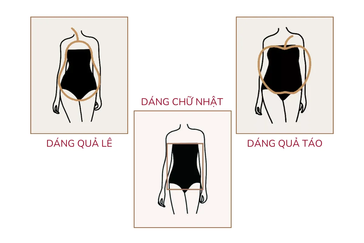 Ba vóc dáng cơ bản